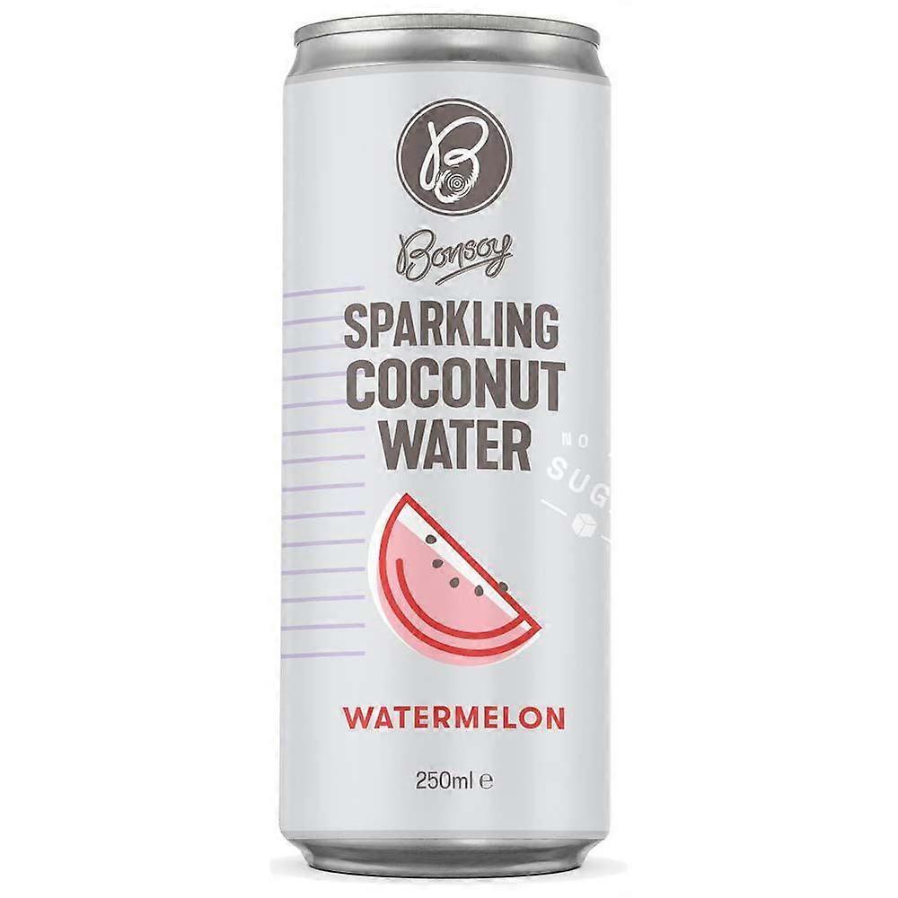 Bonsoy Sparkling Coconut Water Watermelon 250ml